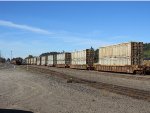 BNSF Loaded Garbaage Train